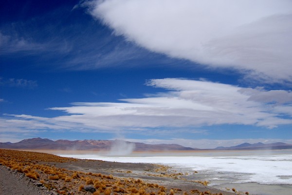 bury-marie-cecile-au-lac-sale-bolivie9C126355-E3CE-2B84-84F5-B76ECFBB67C9.jpg