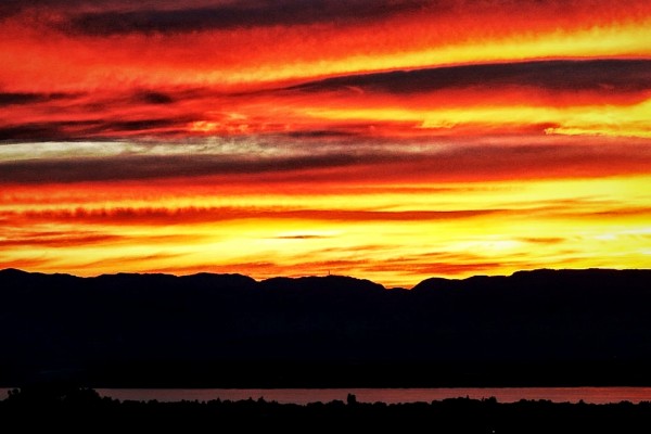 chomat-laura-le-ciel-en-feu8E3334D6-D3A6-377F-3BA3-E52EC589A858.jpg