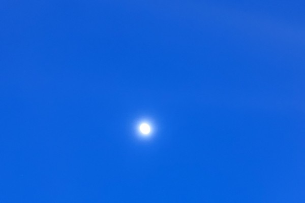 seyi-seddor-divine-la-lune-star402607C4-CEC9-5B8E-D165-E0EAF9A828C0.jpg