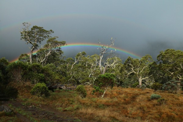 sonnet-dorothee-arc-en-ciel-ile-de-la-reunion-jpgC86149BB-39FE-DBDA-1DF5-CD1799660185.jpg