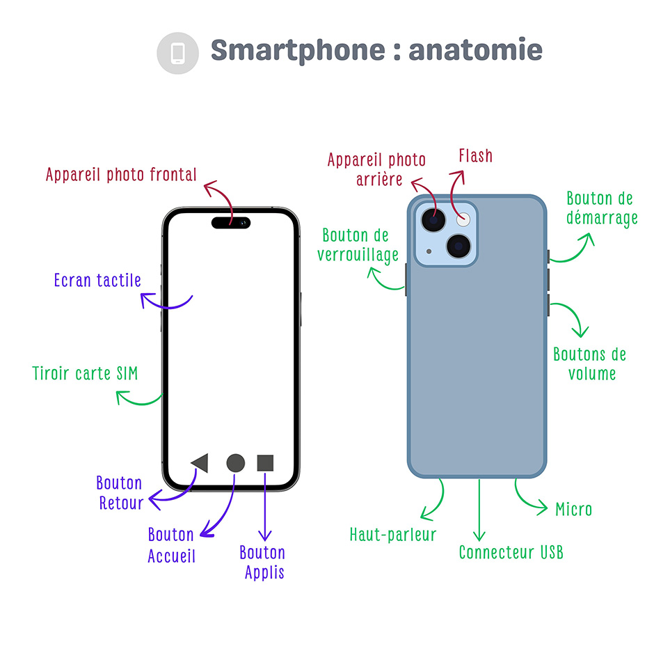 anatomie light