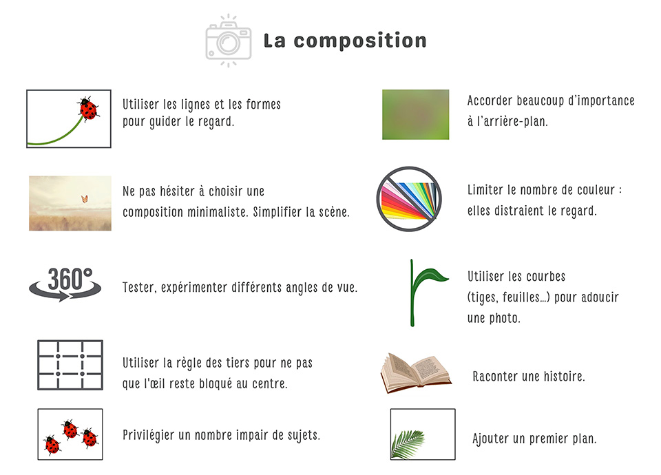 composition light