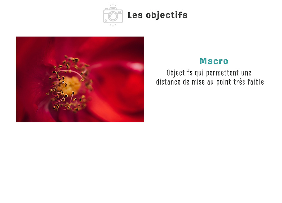 objectifs3 light