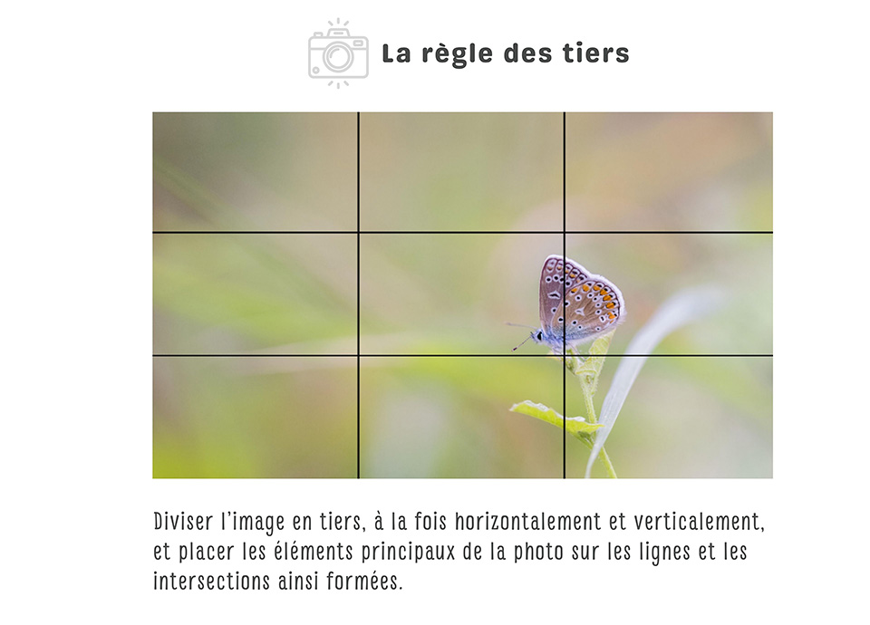 tiers1 light