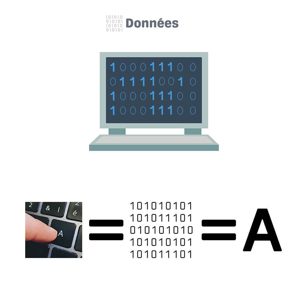Données light
